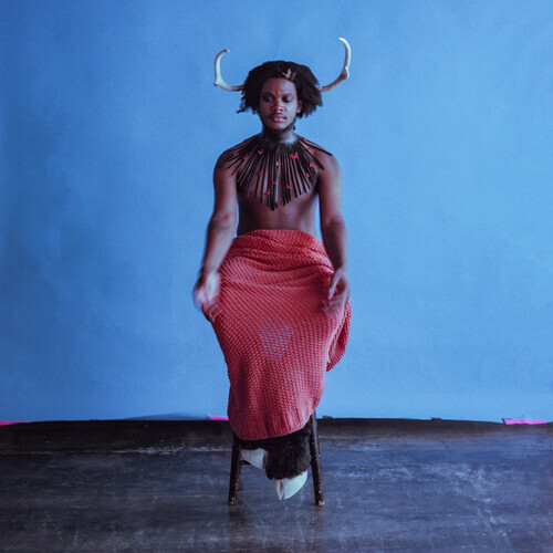 Shamir - Heterosexuality LP