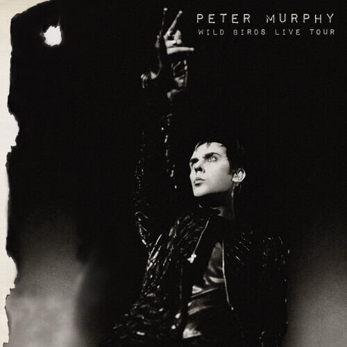 Peter Murphy (Bauhaus) - Wild Birds Live Tour 2022 Reissue, Cleopatra, Gatefold, Black/Purple Vinyl, 2 LP