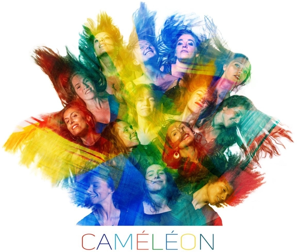 Thierry Maillard - Cameleon