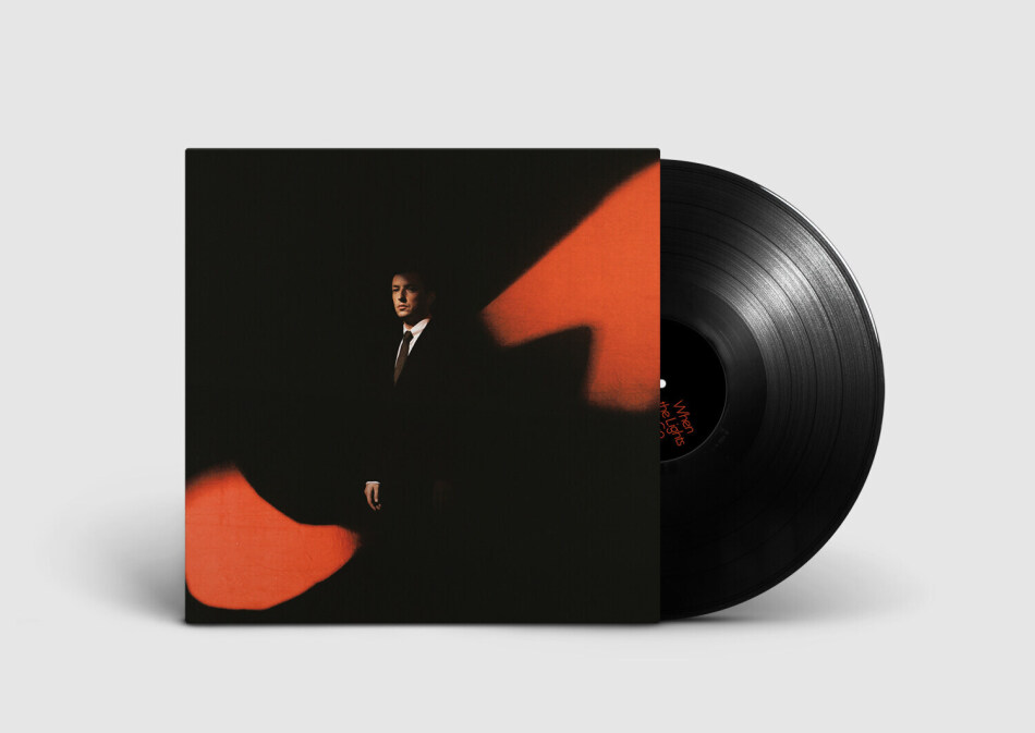 Totally Enormous Extinct Dinosaurs - When The Lights Go Gatefold, LP