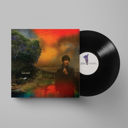 Sharon Van Etten - We've Been Going About This All Wrong (LP)