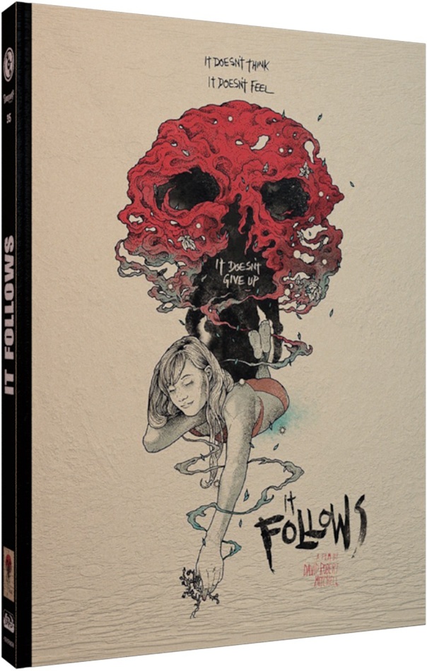 It Follows (2014) Cover D, Limited Edition, Mediabook, Blu-ray + DVD
