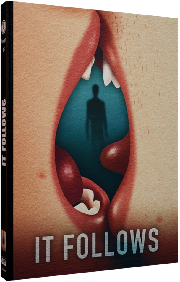 It Follows (2014) Cover E, Limited Edition, Mediabook, Blu-ray + DVD
