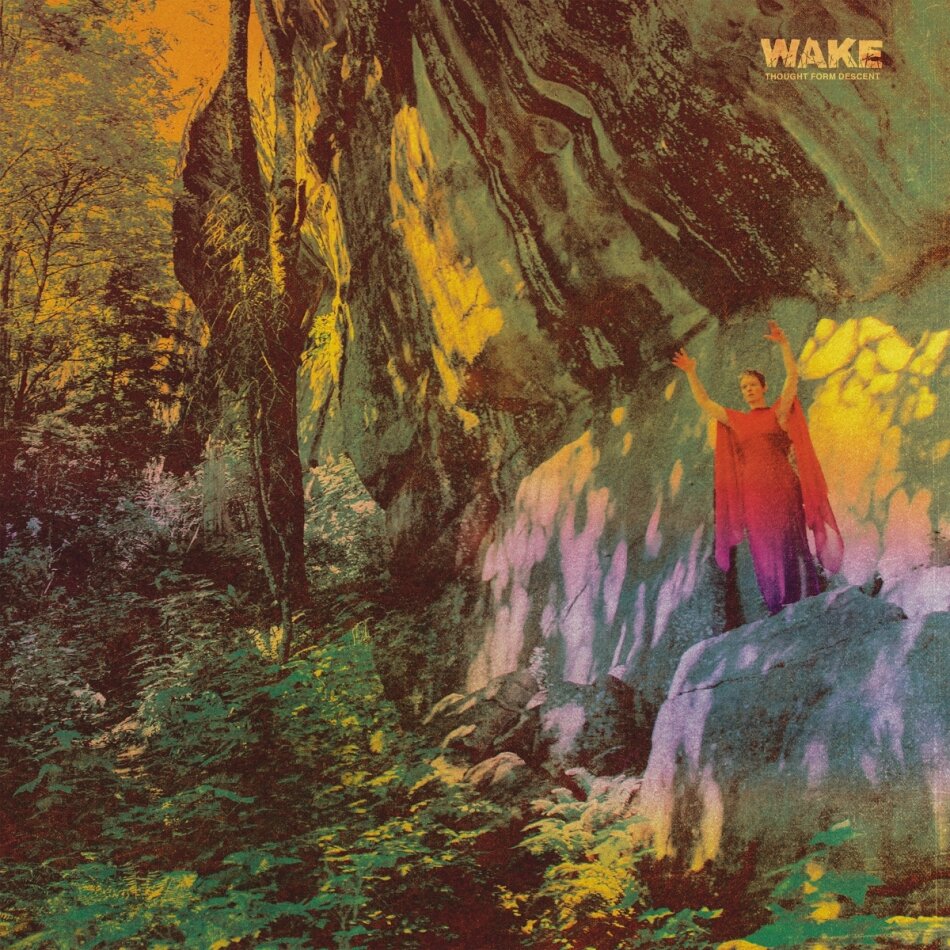 Wake - Thought From Descent LP