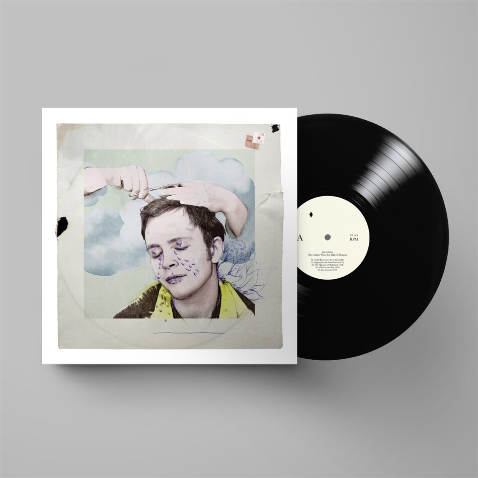 Jens Lekman - The Linden Trees Are Still In Blossom 2 LPs