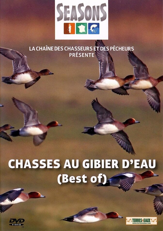 Chasses au gibier d'eau - Best of