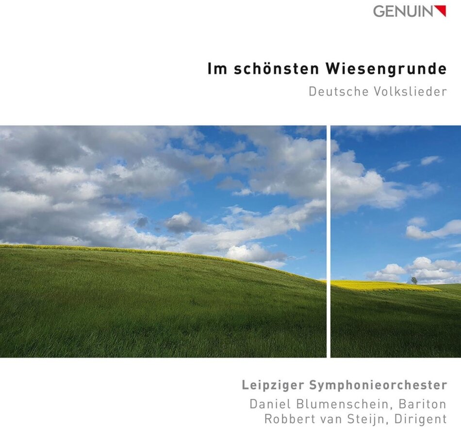 Leipziger Symphonieorchester, Robert van Steijn & Danuiel Blumenschein - Im Schönsten Wiesengrunde