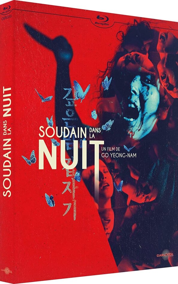 Soudain dans la nuit (1981)