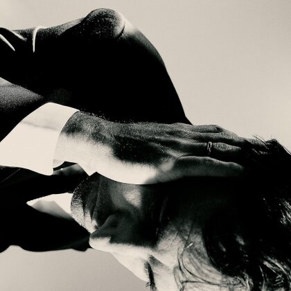 Andrew Bird - Inside Problems (LP)