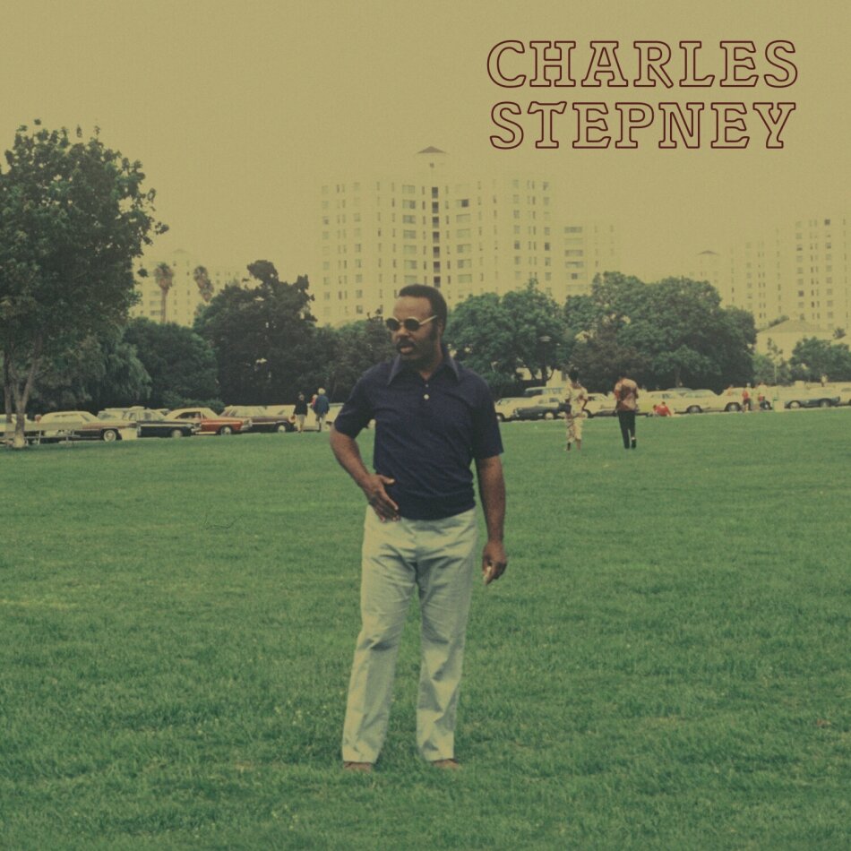 Charles Stepney - Step On Step 2 LPs