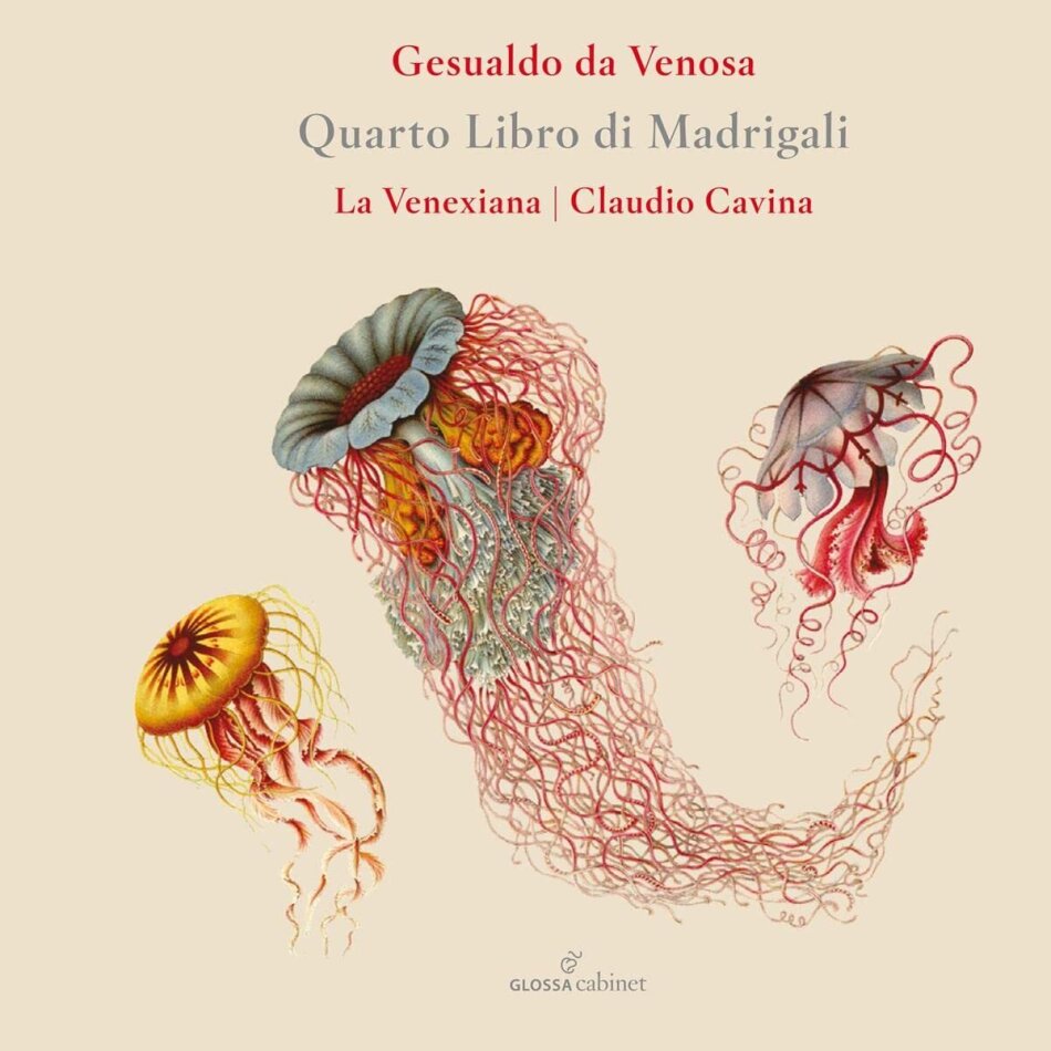 Claudio Cavina, La Venexiana & Carlo da Venosa Gesualdo (1566-1613) - Quarto Libro Di Madrigali 2022 Reissue, Glossa