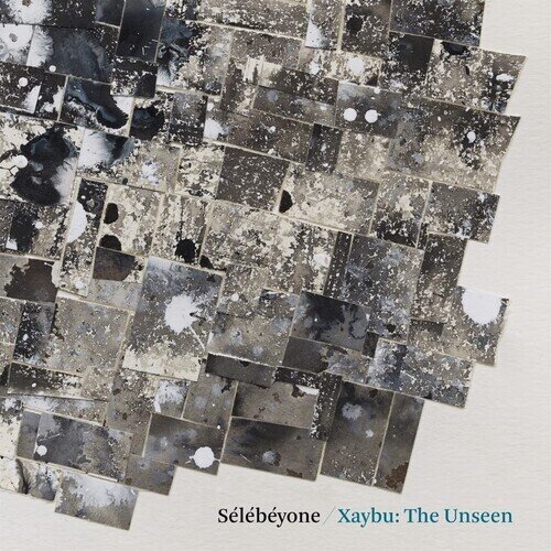 Steve Lehman & Selebeyone - Xaybu: The Unseen LP