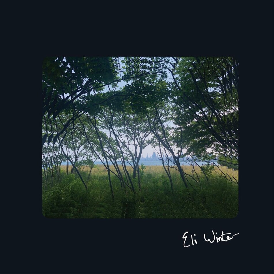 Eli Winter - --- LP