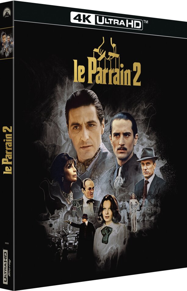 Le Parrain 2 (1974)