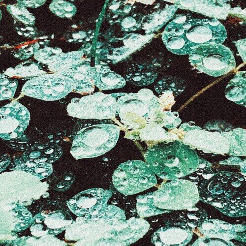 Sadness - Rain Chamber