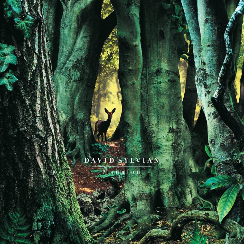 David Sylvian - Manafon 2022 Reissue, 2 LPs