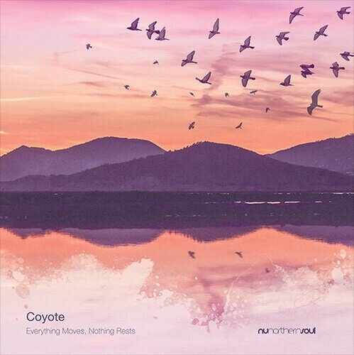 Coyote - Everything Moves Nothing Rests LP