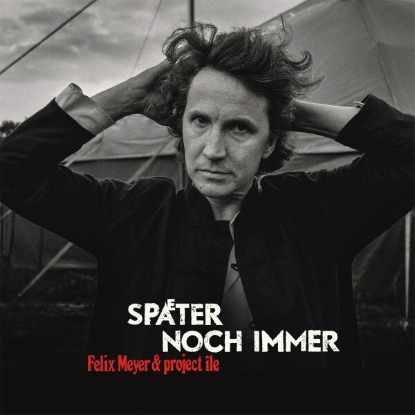 Felix Meyer - Später noch immer 2 LP