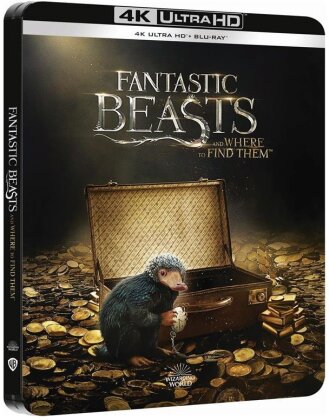 Les animaux fantastiques (2016) (Limited Edition, Steelbook, 4K Ultra HD + Blu-ray)
