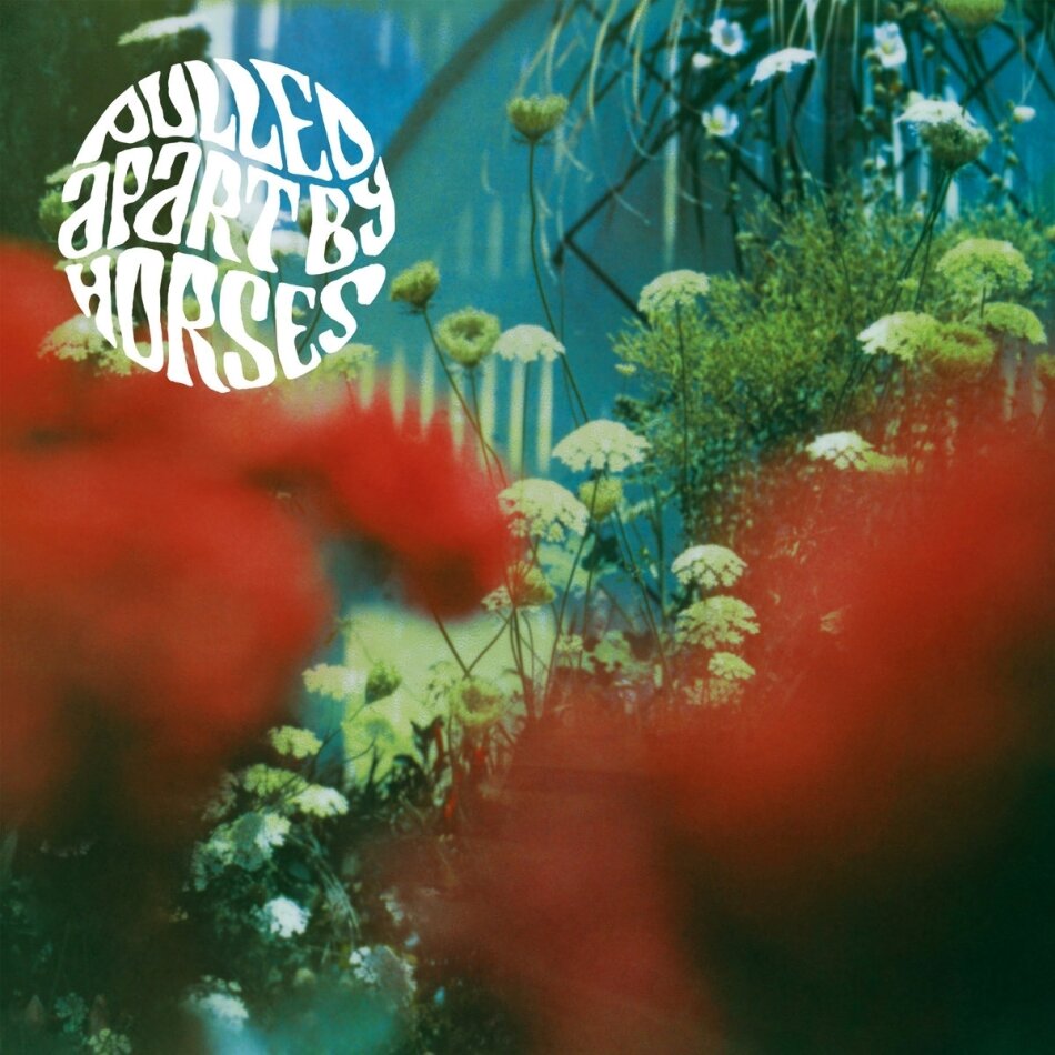 Pulled Apart By Horses - The Haze 2022 Repress, LP