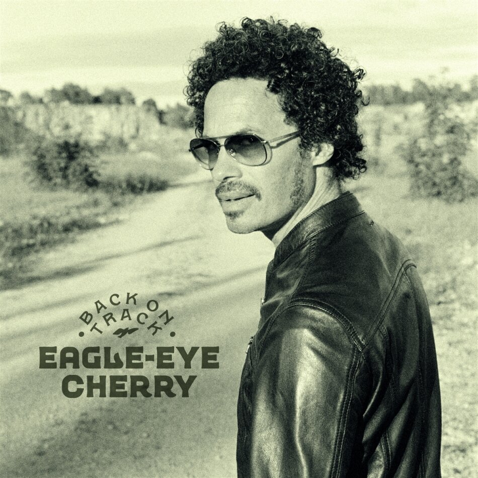 Eagle-Eye Cherry - Back On Track LP