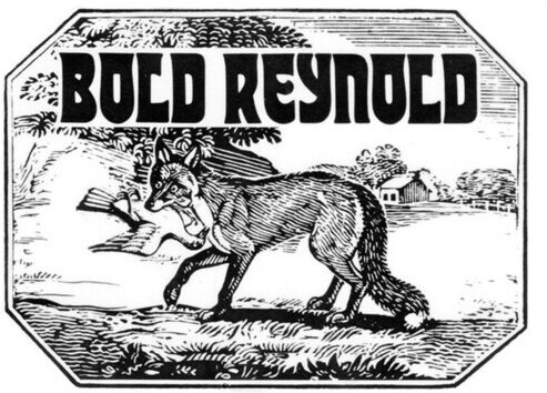 David Carroll & Friends - Bold Reynold