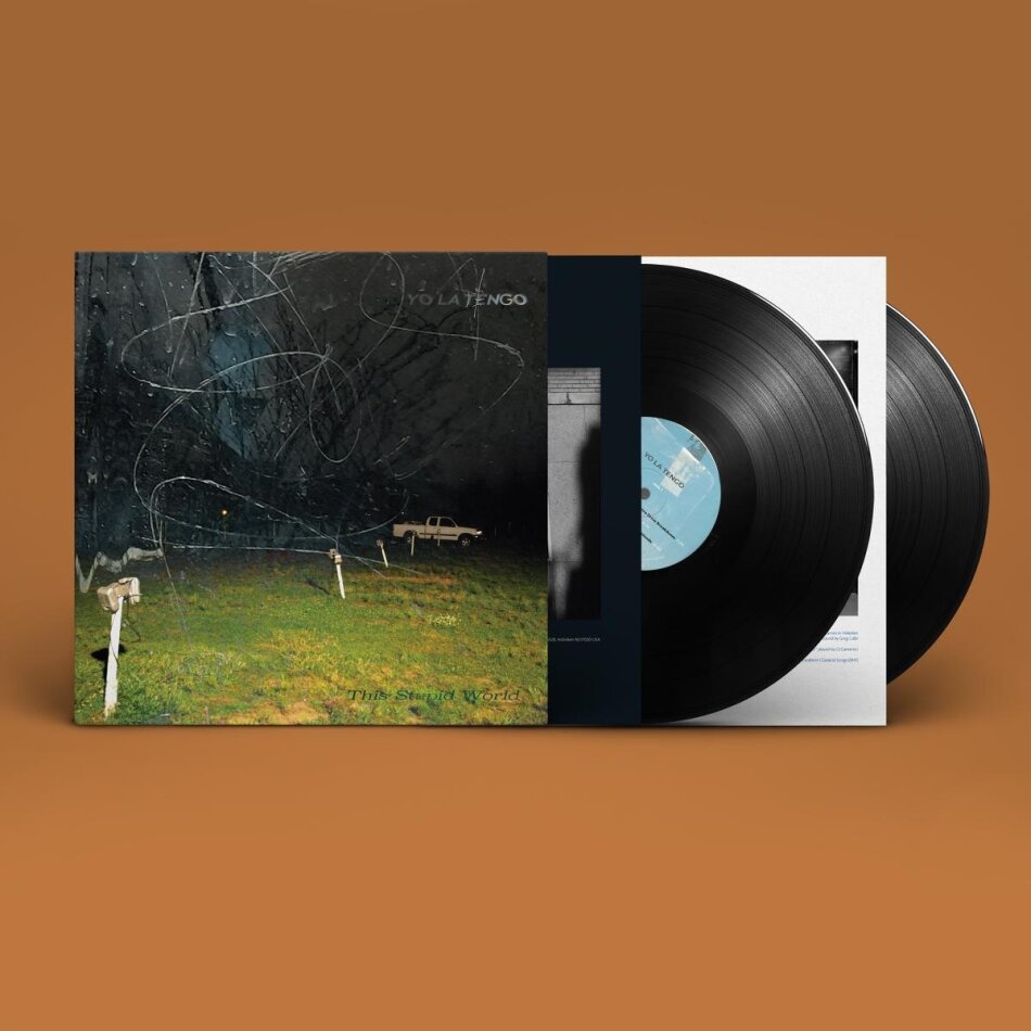 Yo La Tengo - This Stupid World LP