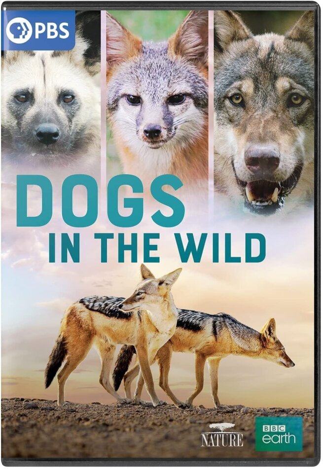 Dogs in the Wild Nature, BBC Earth