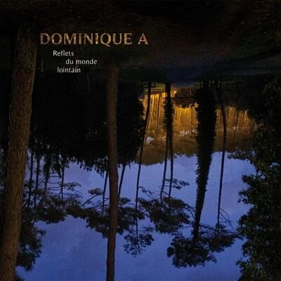 Dominique A - Reflets Du Monde Lointain LP