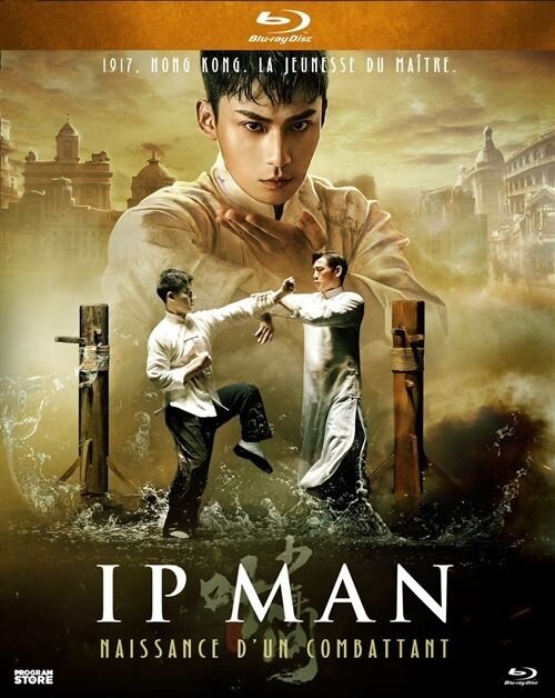 Ip Man - Naissance d'un combattant (2020)
