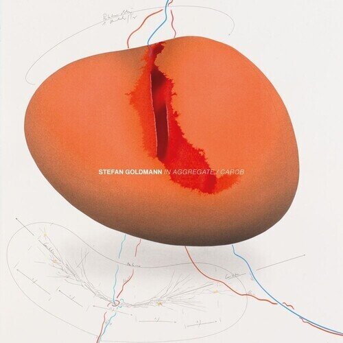 Stefan Goldmann - In Aggregate / Carob LP