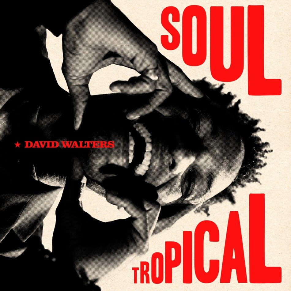 David Walters - Soul Tropical Gatefold, 2 LPs