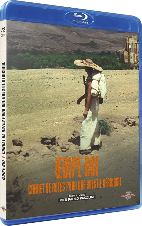 Oedipe roi / Carnet de notes pour une Orestie africaine