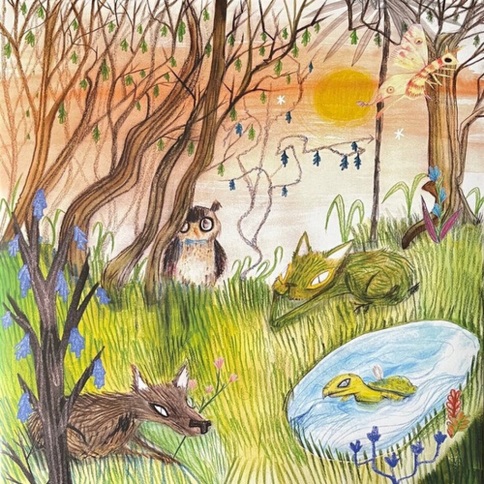 Cavetown - Animal Kingdom 2023 Reissue, cave music limited, Colored, LP