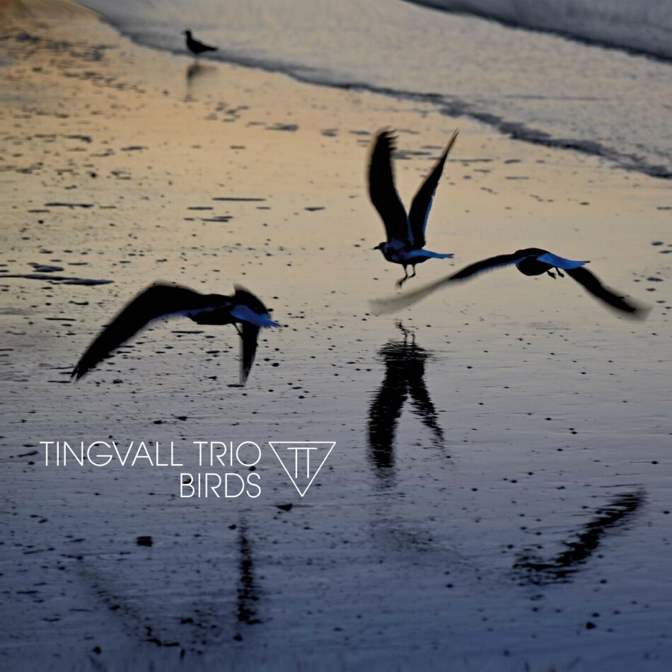 Tingvall Trio - Birds LP