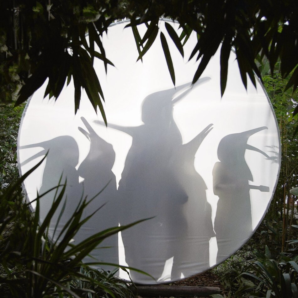 Penguin Cafe - Rain Before Seven... Indies Only, Transparent Vinyl, LP