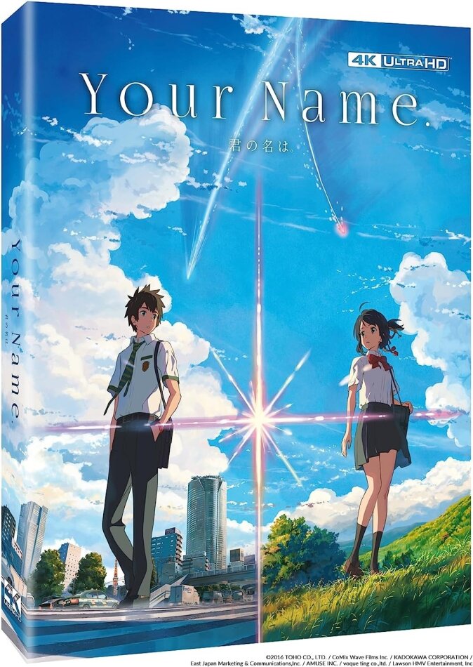 Your Name. (2016)