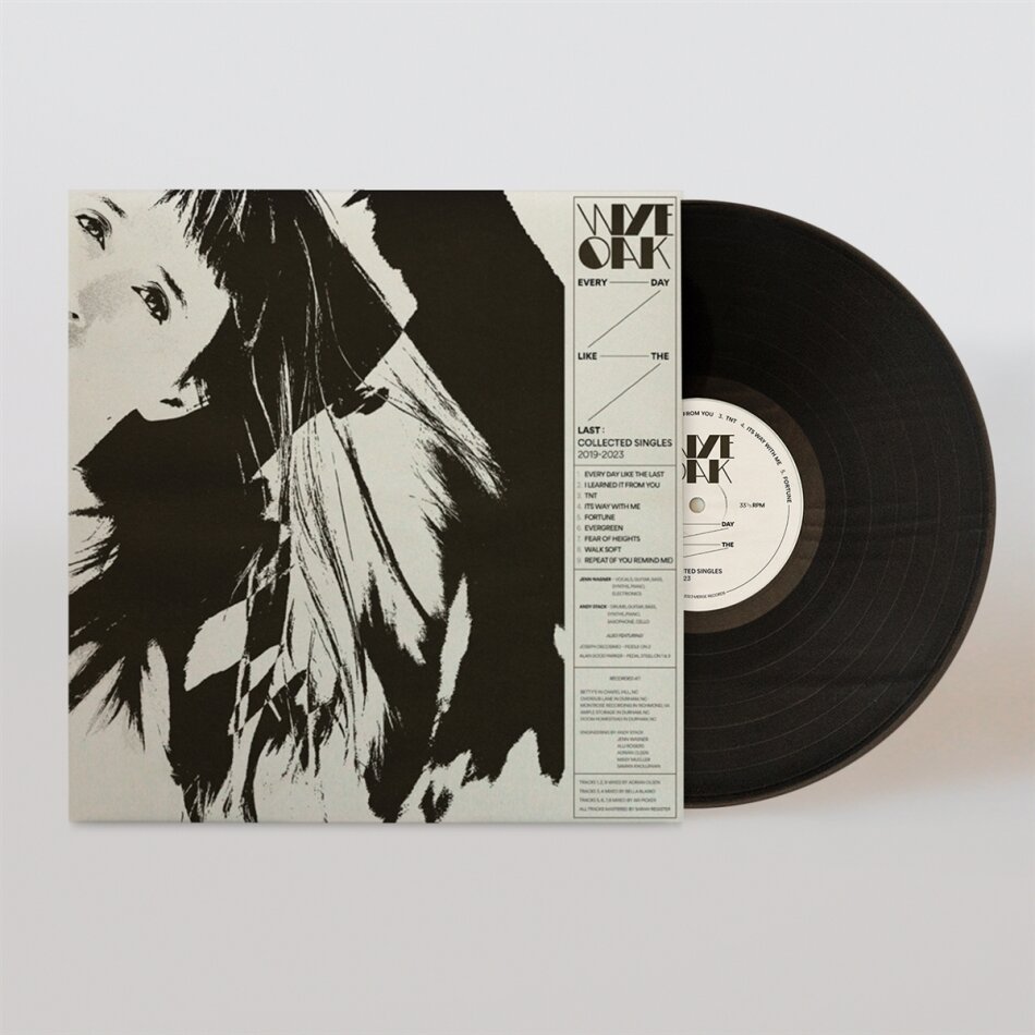 Wye Oak - Every Day Like The Last LP