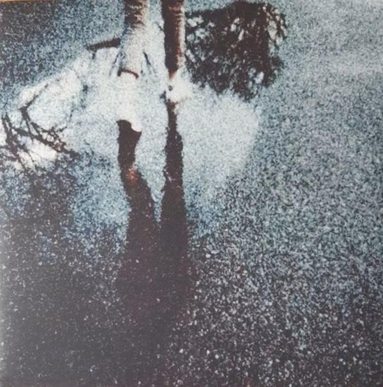 Sadness - April Sunset
