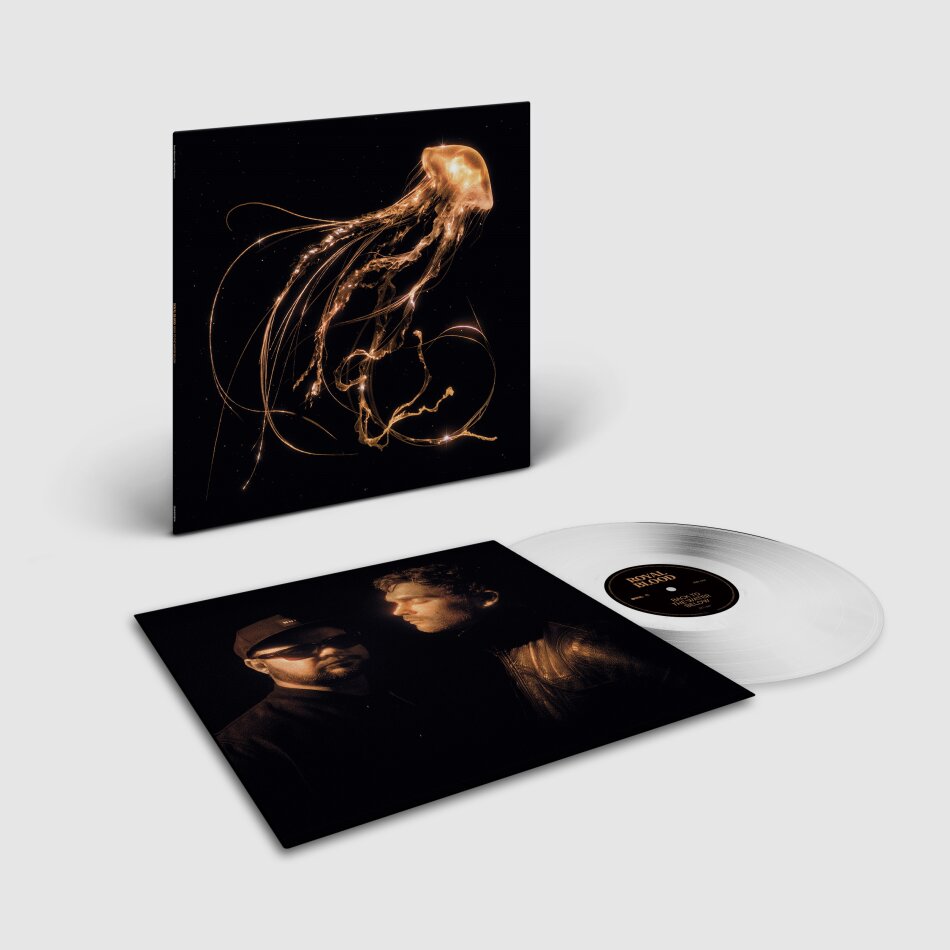 Royal Blood - Back To The Water Below Indie Exclusive, Limited Edition, Clear Vinyl, LP