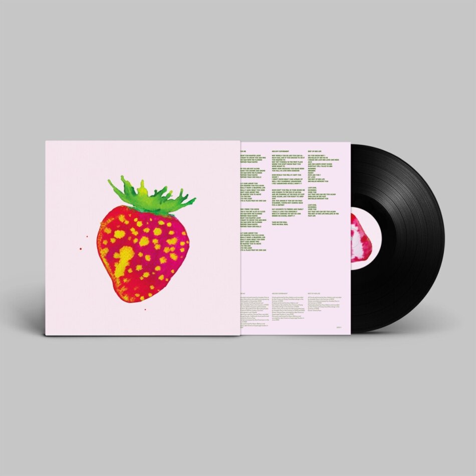 Blonde Redhead - Sit Down For Dinner LP