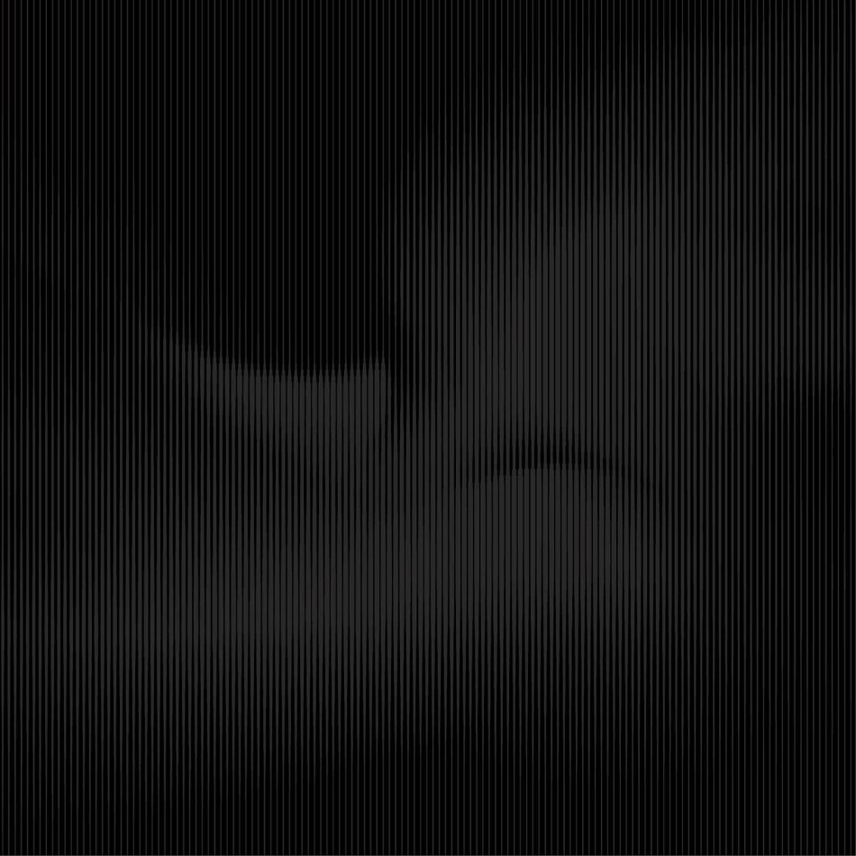 Ambrose Akinmusire - Beauty Is Enough LP