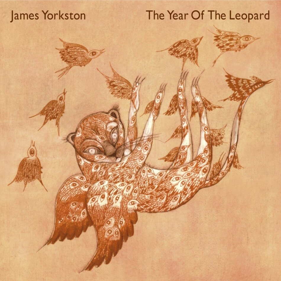 James Yorkston & The Athletes - Year Of The Leopard 2 LPs