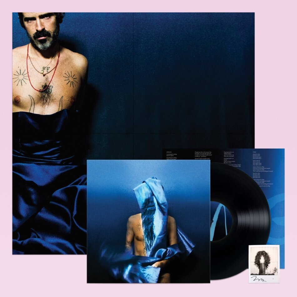 Devendra Banhart - Flying Wig LP