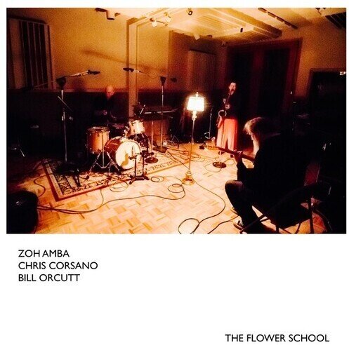 Bill Orcutt, Chris Corsano & Zoh Amba - Flower School LP