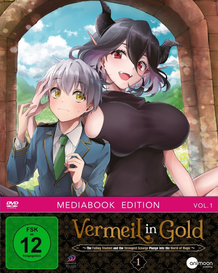 Vermeil in Gold - Vol. 1 Sammelschuber, Mediabook