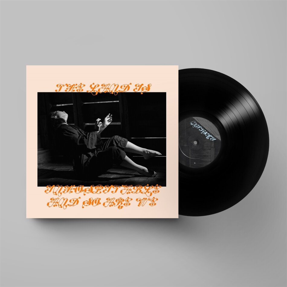 Mitski - Land Is Inhospitable And So Are We LP