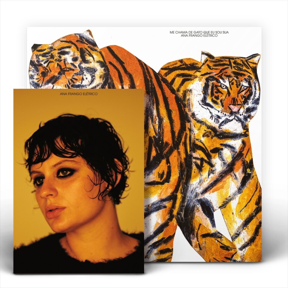 Ana Frango Eletrico - Me Chama De Gato Que Eu Sou Sua LP