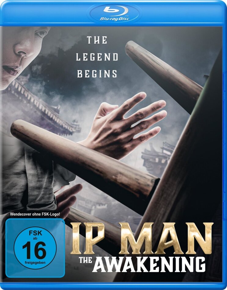 Ip Man: The Awakening (2021)