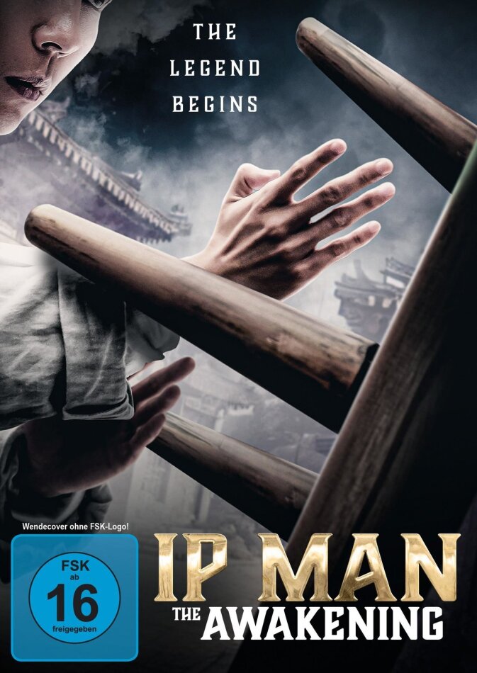Ip Man: The Awakening (2021)